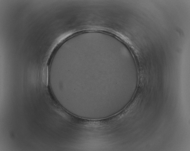 X0000116491223200912292059