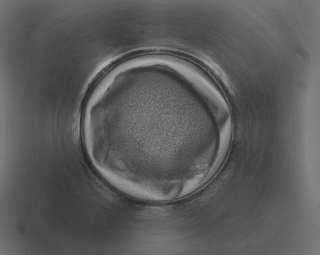 X0000116491224200912292059