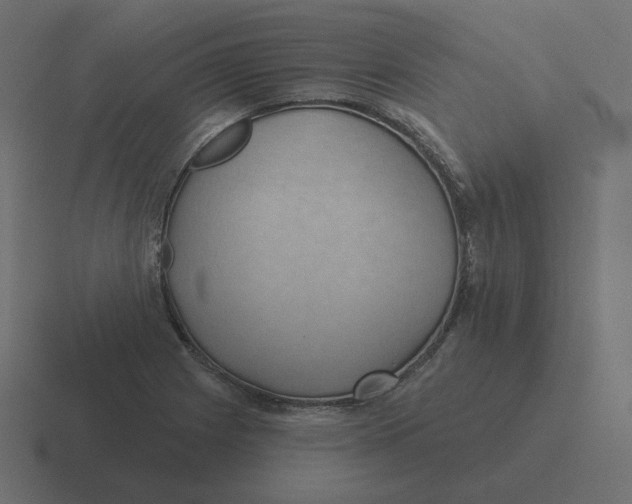 X0000116491225200912292059