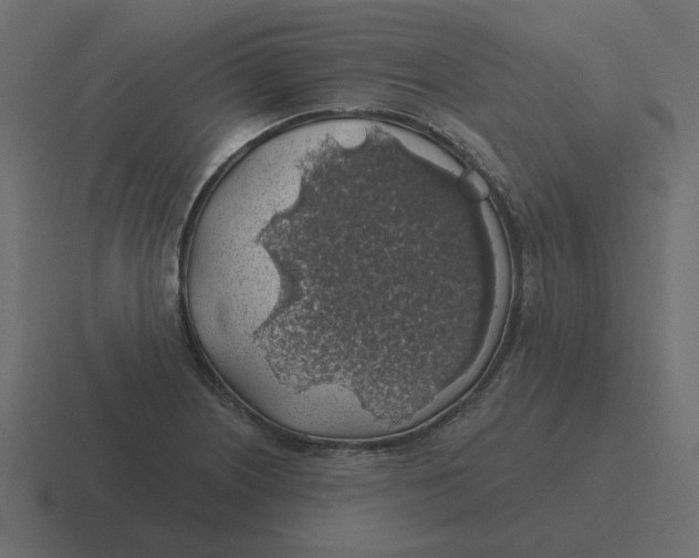 X0000116491226200912292059