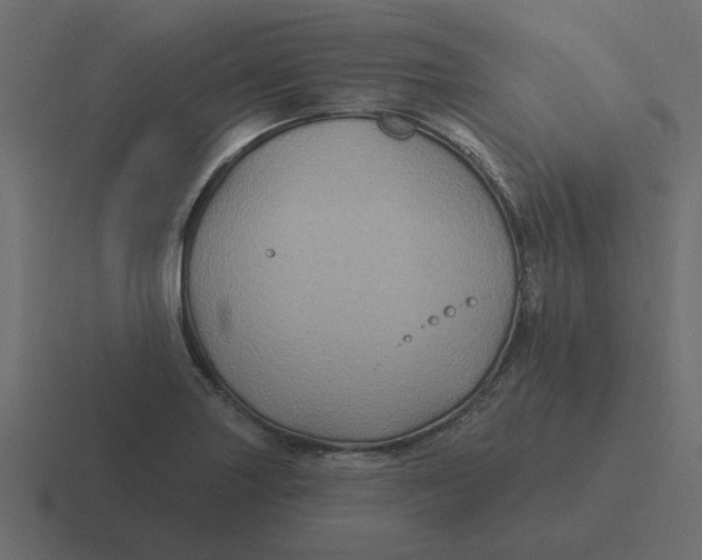 X0000116491227200912292059