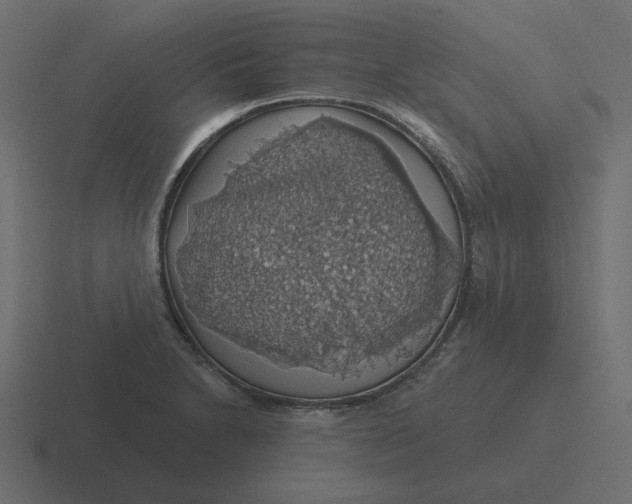 X0000116491230200912292059