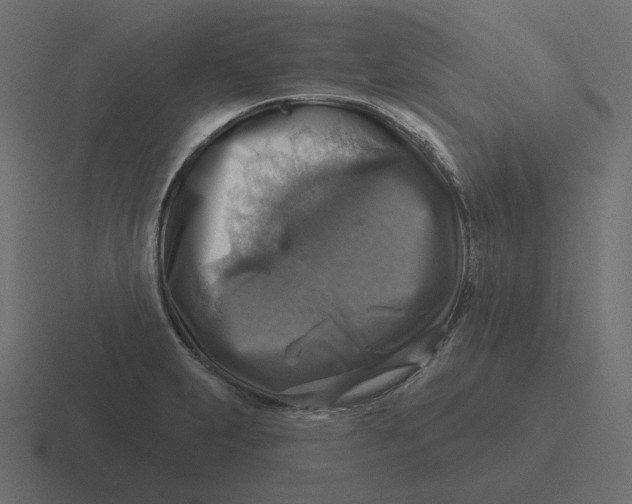 X0000116491231200912292059