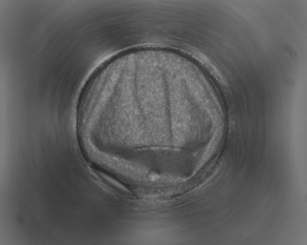 X0000116491232200912292059