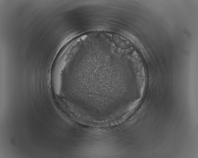 X0000116491234200912292059