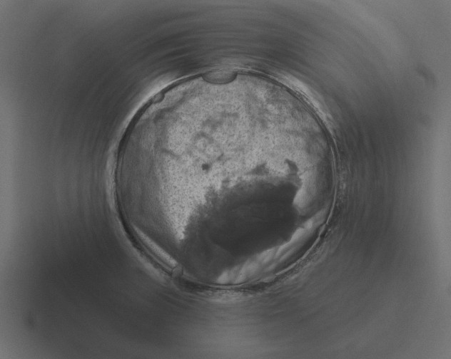 X0000116491235200912292059