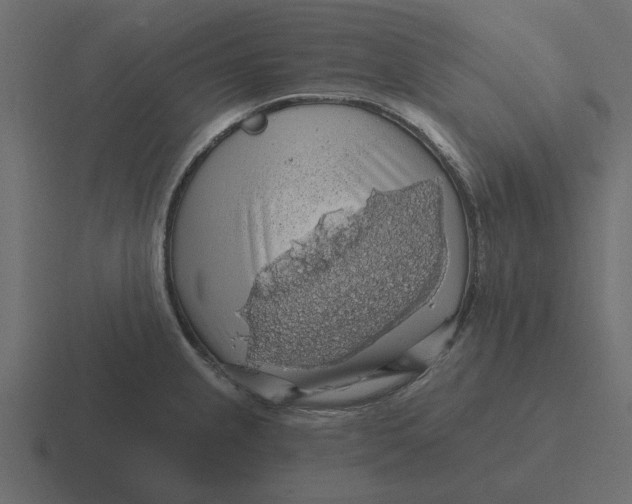 X0000116491237200912292059