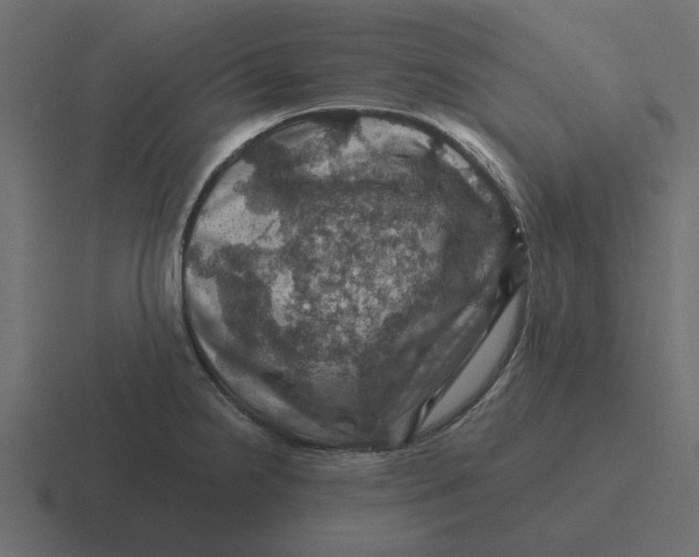 X0000116491238200912292059