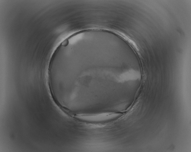 X0000116491239200912292059