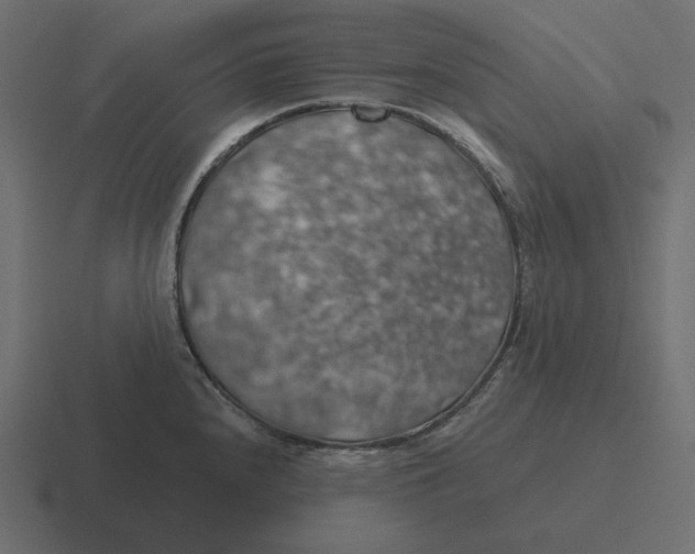 X0000116491240200912292059