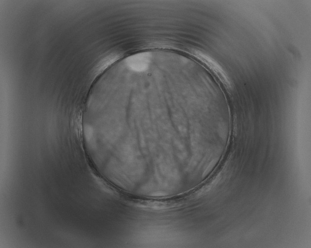 X0000116491241200912292059