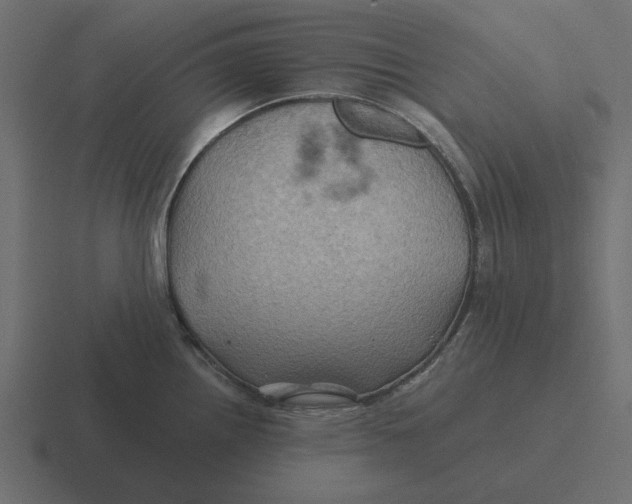 X0000116491242200912292059