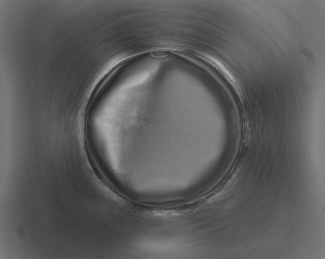 X0000116491243200912292059