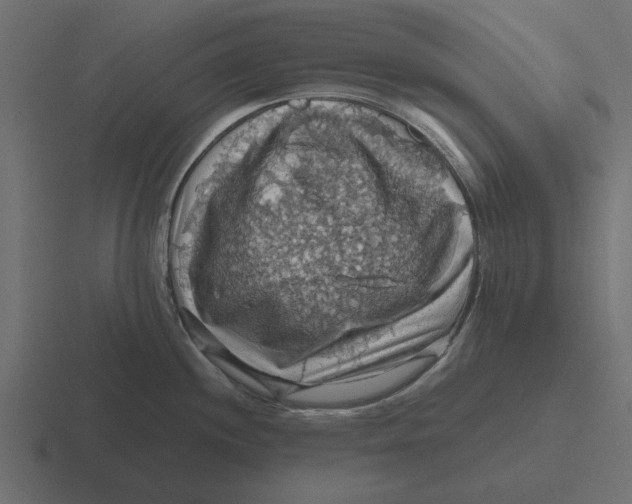 X0000116491244200912292059