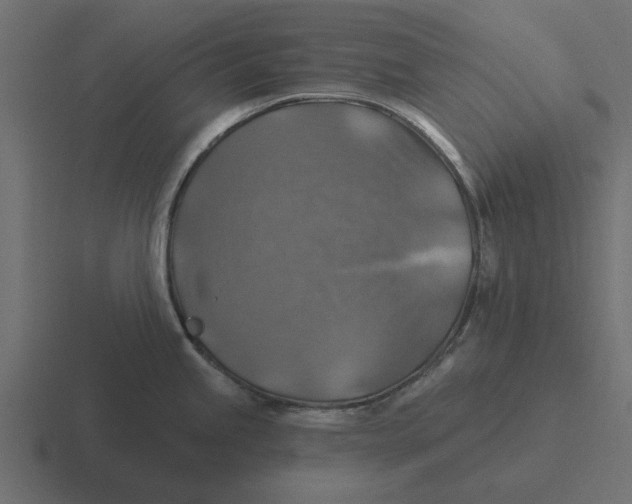 X0000116491245200912292059