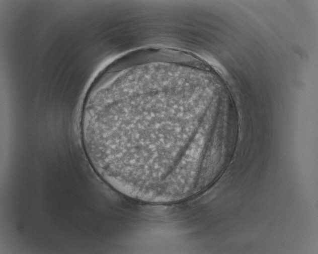 X0000116491248200912292059