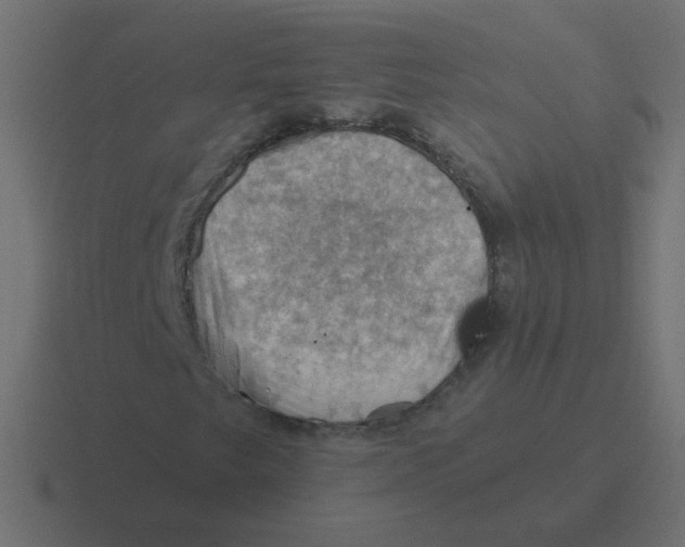 X0000116491249200912292059