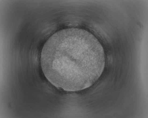 X0000116491250200912292059