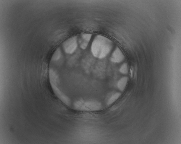 X0000116491251200912292059