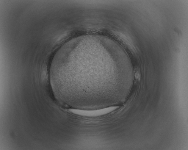 X0000116491252200912292059