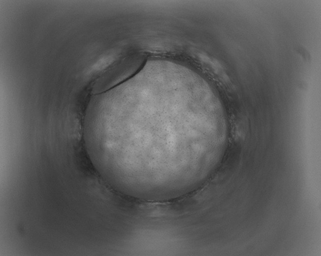 X0000116491253200912292059