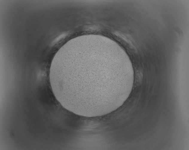 X0000116491254200912292059