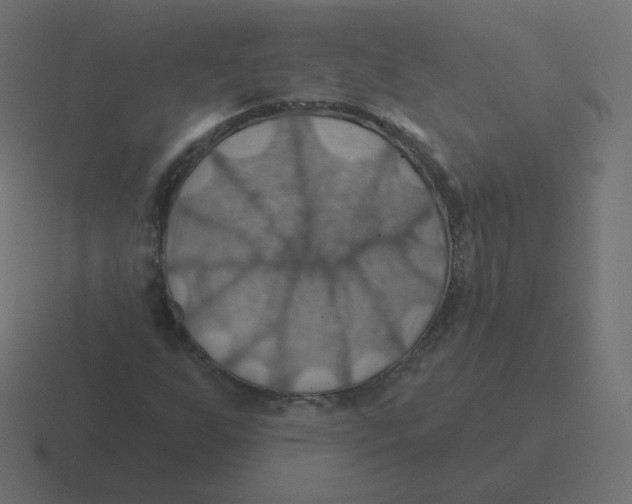 X0000116491255200912292059