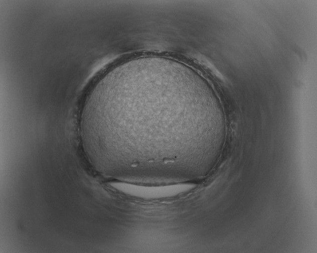 X0000116491256200912292058