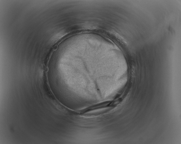 X0000116491257200912292058