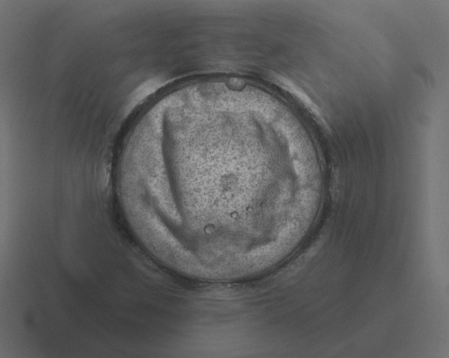 X0000116491259200912292058