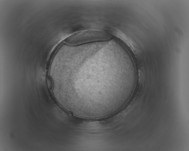 X0000116491260200912292058