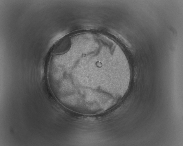 X0000116491261200912292058