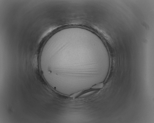 X0000116491262200912292058