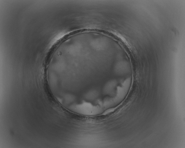 X0000116491263200912292058