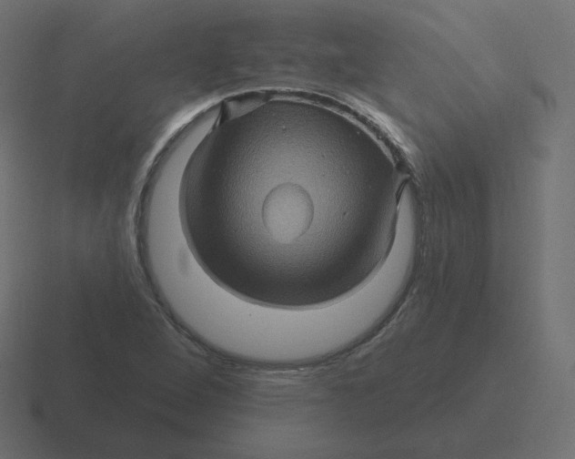 X0000116491264200912292058