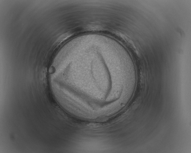 X0000116491265200912292058