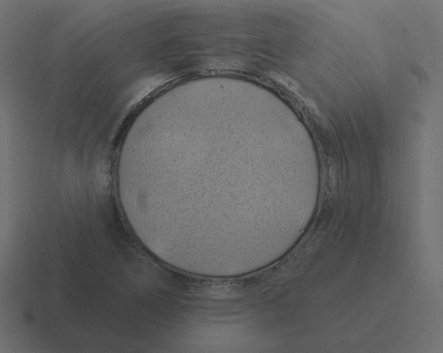 X0000116491266200912292058