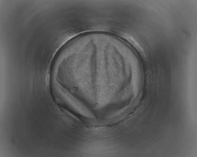 X0000116491268200912292058