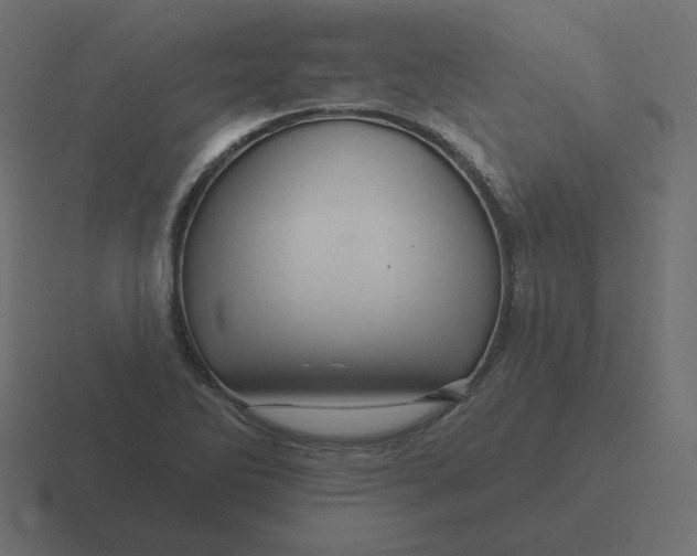 X0000116491270200912292058