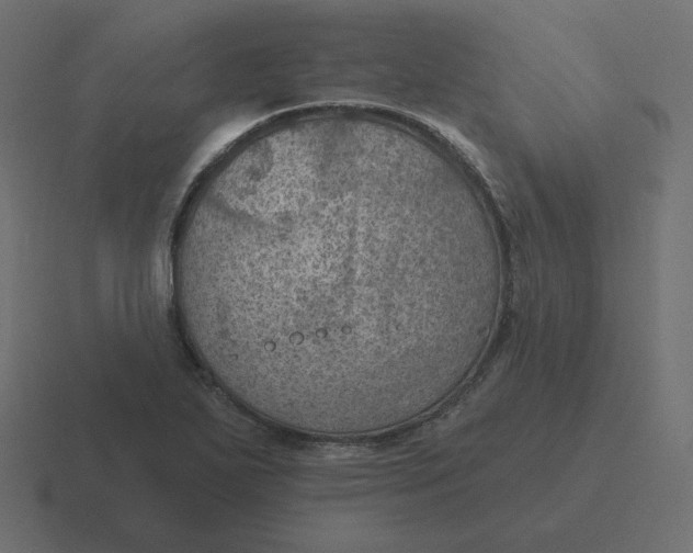 X0000116491271200912292058