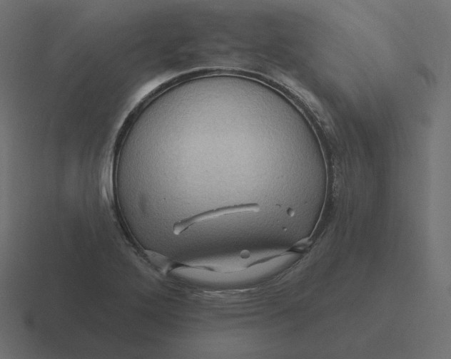 X0000116491272200912292058