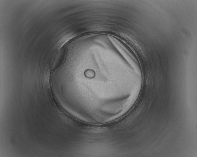 X0000116491273200912292058