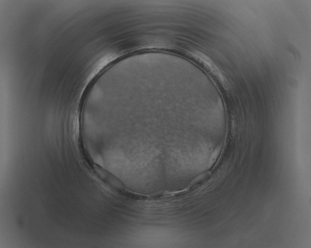 X0000116491274200912292058