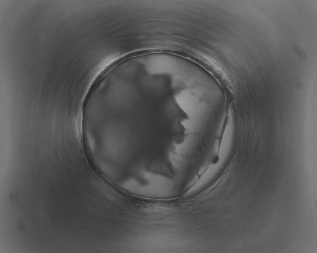 X0000116491275200912292058