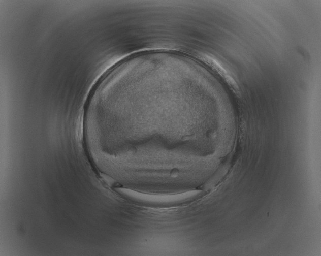 X0000116491276200912292058