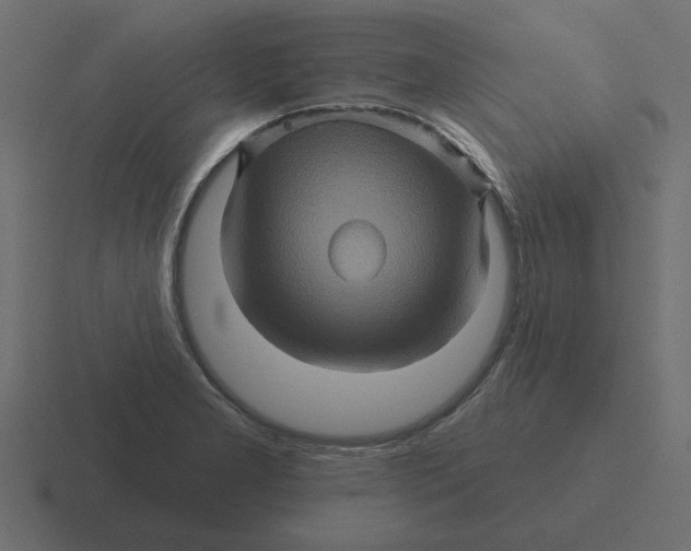 X0000116491277200912292058