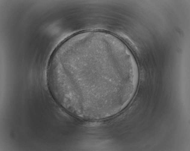 X0000116491278200912292058