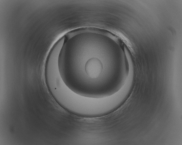 X0000116491280200912292058