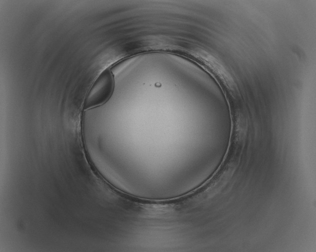 X0000116491281200912292058