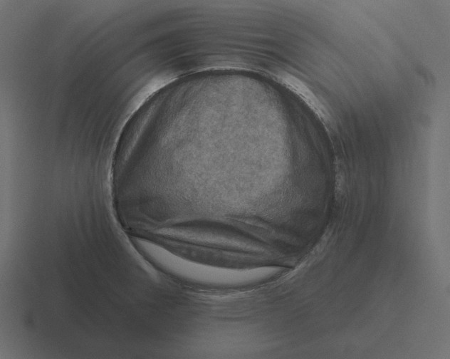 X0000116491282200912292058